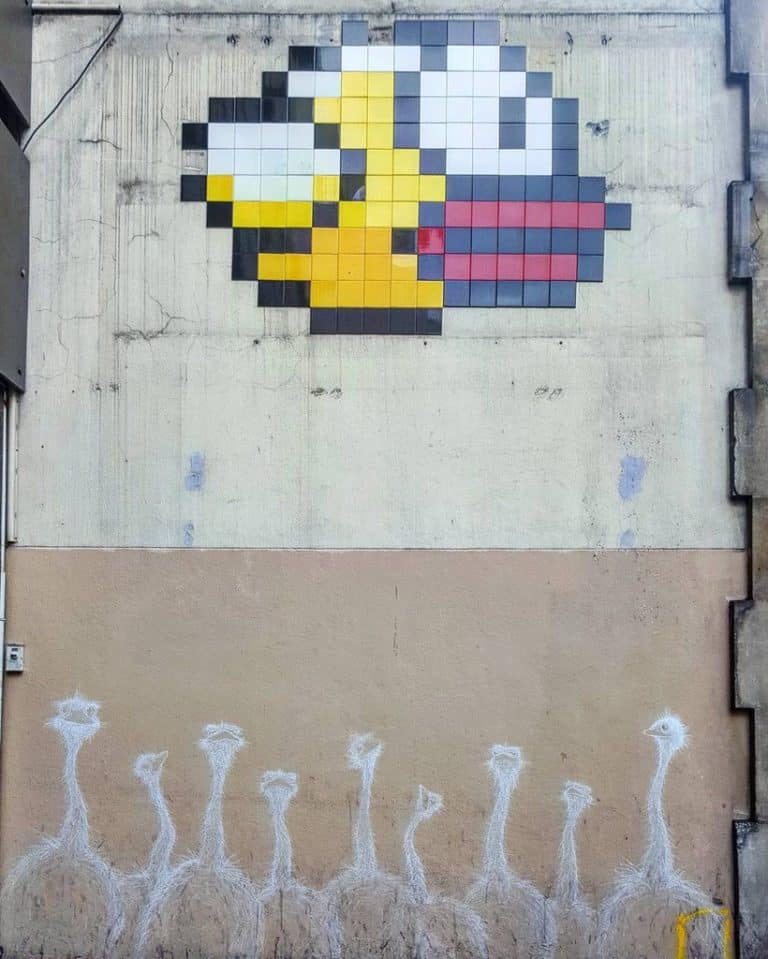 Sa Majesté des autruches – Street art par Invader & Matthieu, Paris